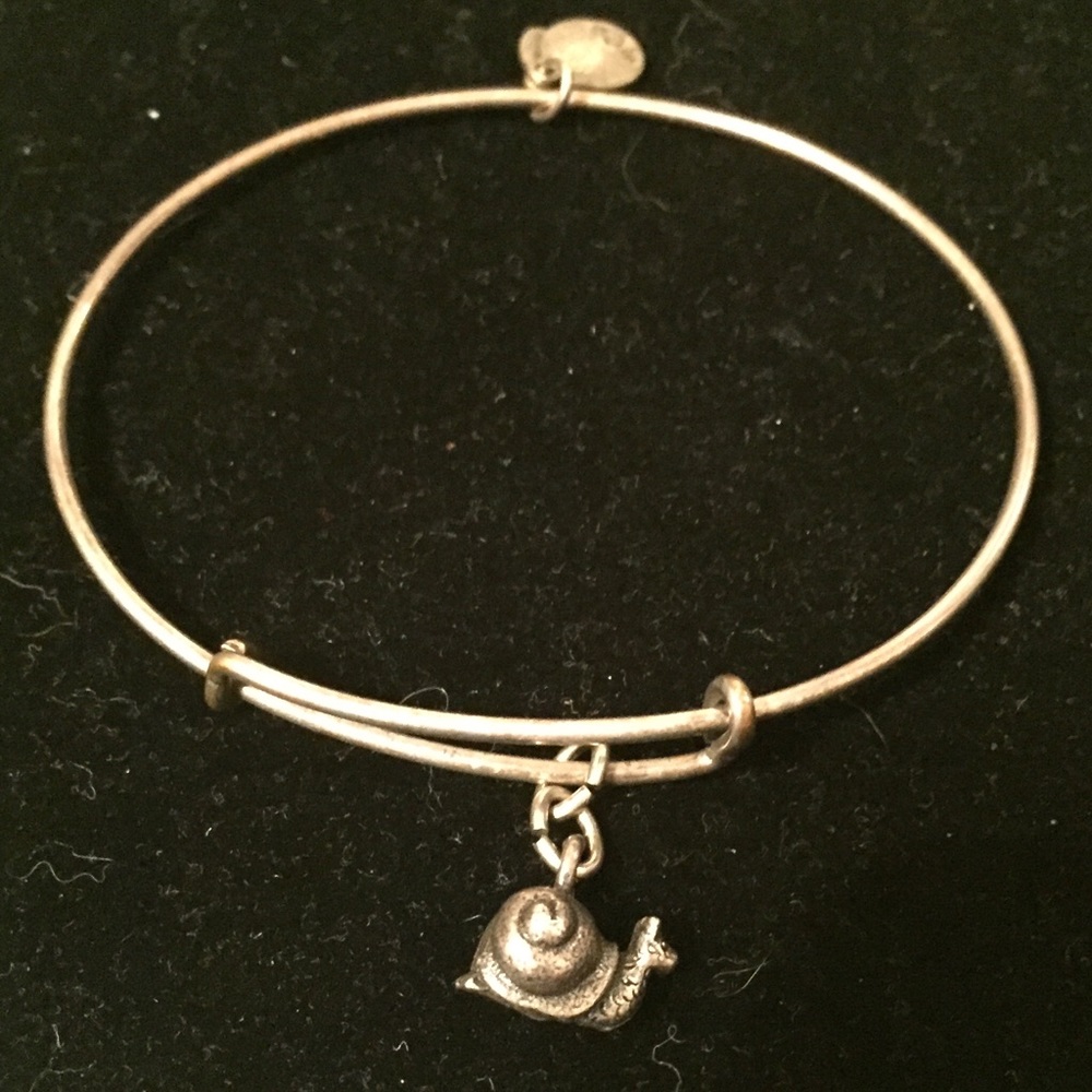 Retired Silver Snail Charm Alex and Ani Bracelet